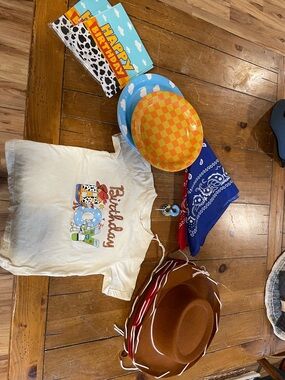 Toy Story birthday party lot